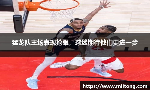 猛龙队主场表现抢眼，球迷期待他们更进一步