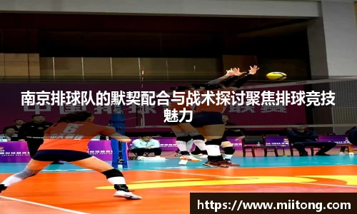 欧陆娱乐注册